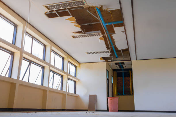 Best Water damage restoration near me  in Cheyenne, WY