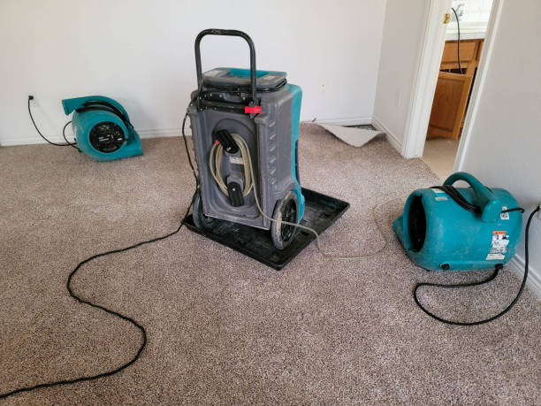 Best Water damage cleanup near me  in Cheyenne, WY