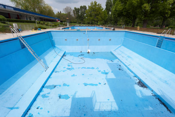 Best Mold removal after water damage  in Cheyenne, WY