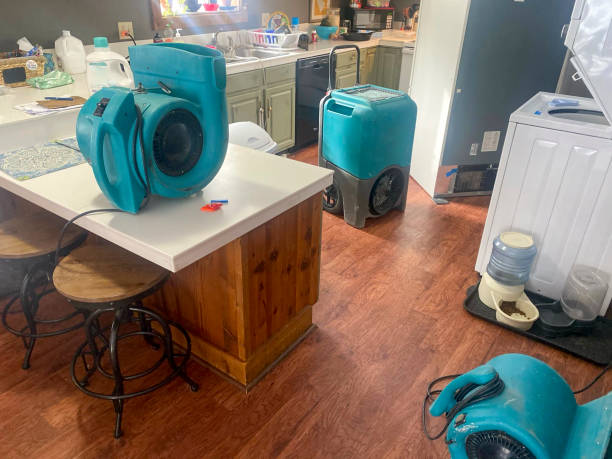 Best Flooded house restoration  in Cheyenne, WY