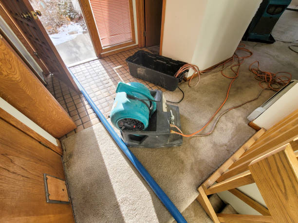 Best Water damage restoration company  in Cheyenne, WY