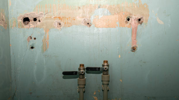 Best Carpet water damage restoration  in Cheyenne, WY