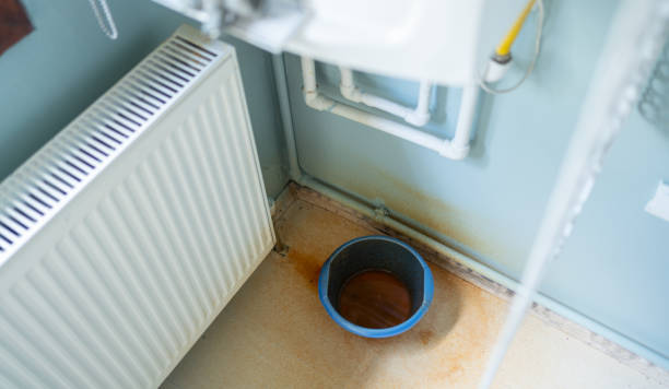 Best Flood restoration services  in Cheyenne, WY