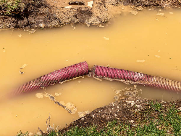 , WY Water damage restoration Company