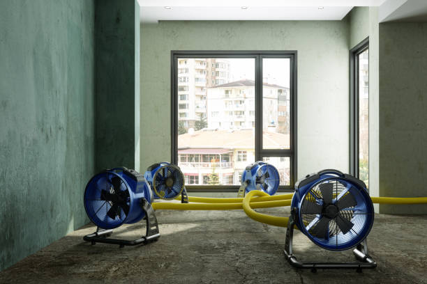 Best 24/7 water damage repair  in Cheyenne, WY