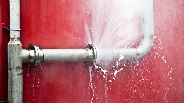 Best Carpet water damage restoration  in Cheyenne, WY