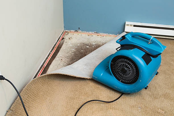 Best Water damage restoration near me  in Cheyenne, WY